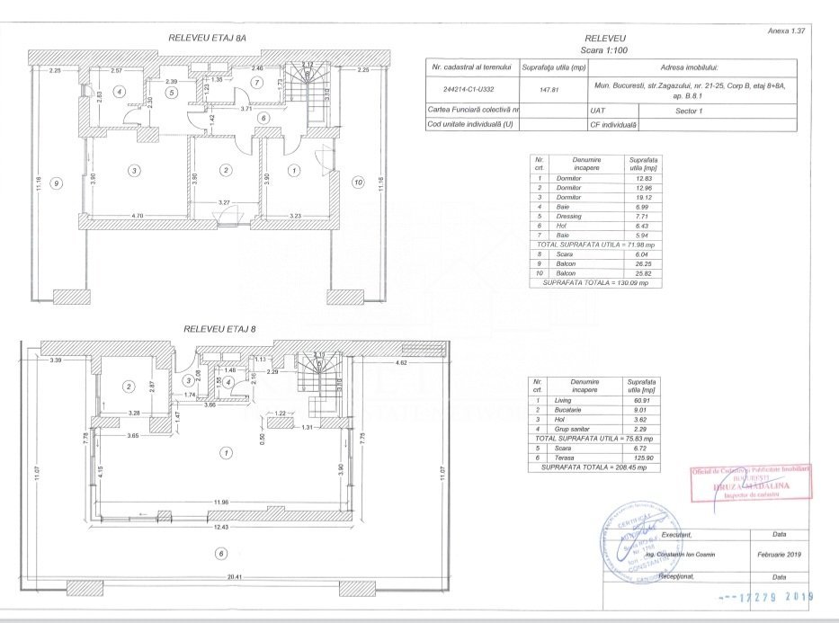  One Herastrau Plaza, Penthouse spectaculos