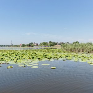 Teren pe malul lacului Snagov, in Vladiceasca.