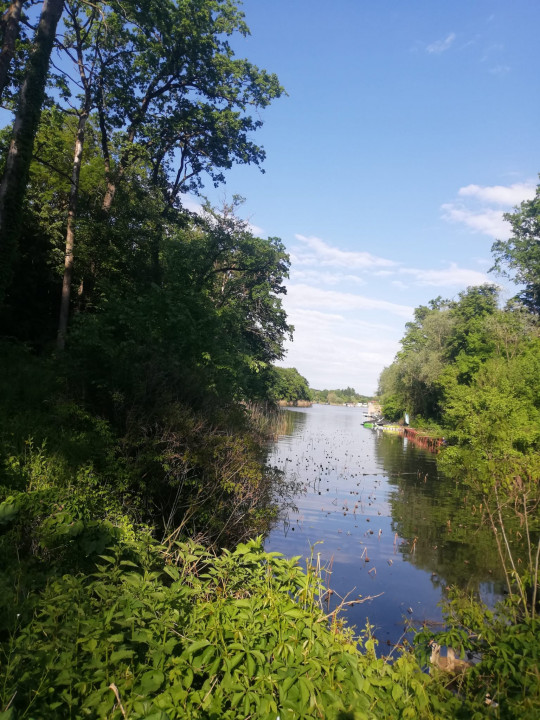 SUPER  OCAZIE TEREN DE VANZARE IN SNAGOV CU DESCHIDERE LA LACUL SNAGOV