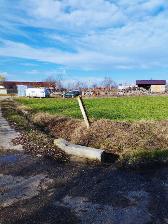 SUPER OCAZIE SE VINDE TEREN LA CEL MAI MIC PRET LA DELTA NEASLOVULUI