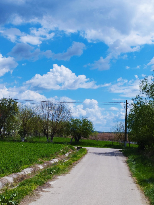 SUPER OCAZIE SE VINDE TEREN LA CEL MAI MIC PRET LA DELTA NEASLOVULUI