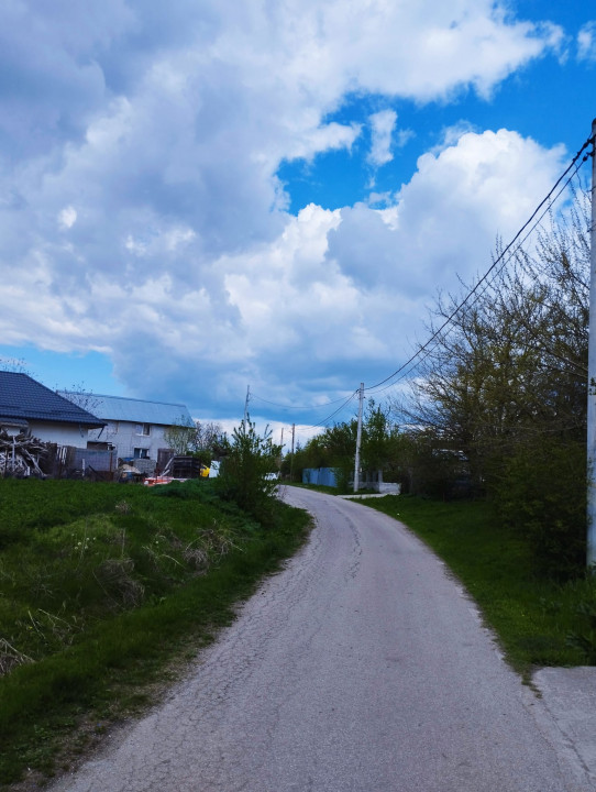 SUPER OCAZIE SE VINDE TEREN LA CEL MAI MIC PRET LA DELTA NEASLOVULUI